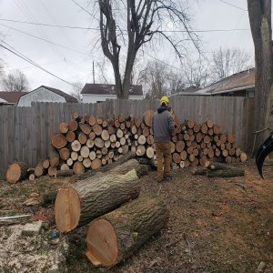 stump removal services ohio